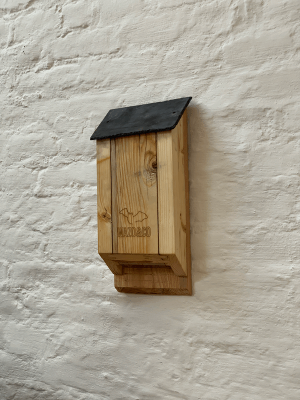 Gîte à chauves-souris