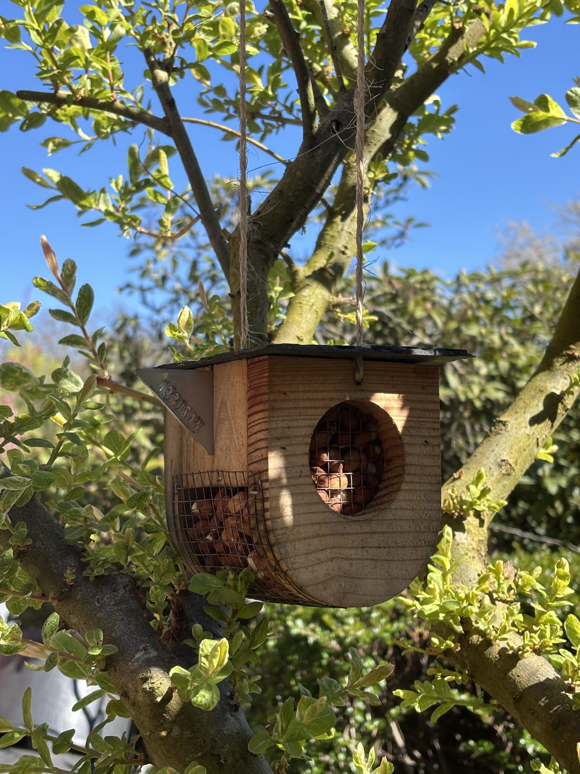 Mangeoire à cacahuètes – Image 3