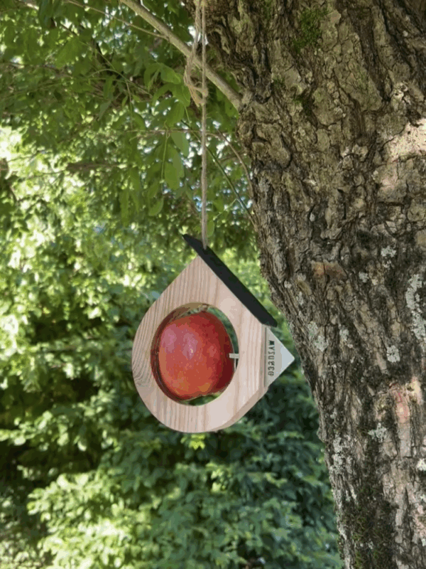 Mangeoire à pomme