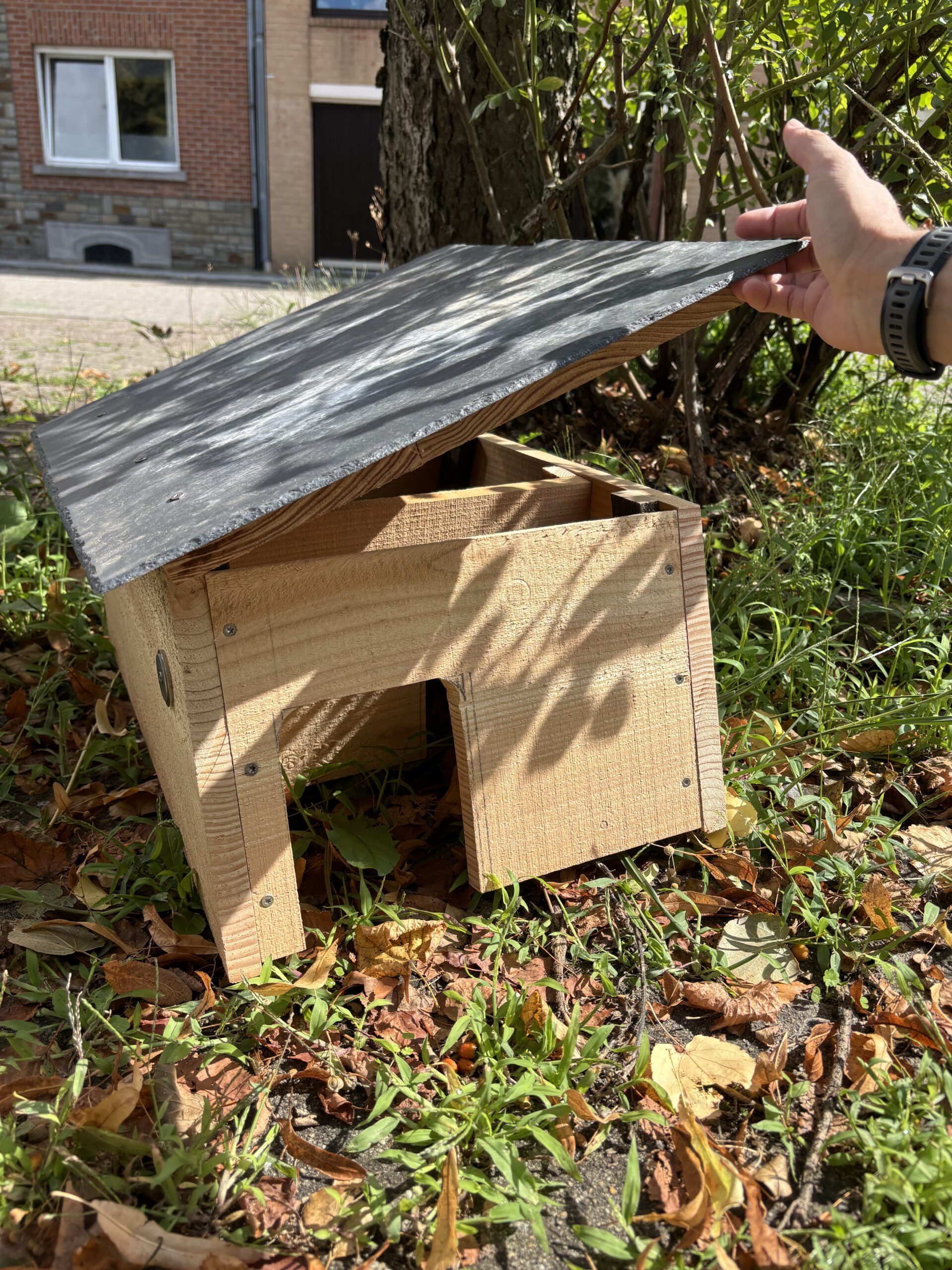 Abri à hérisson – Image 3