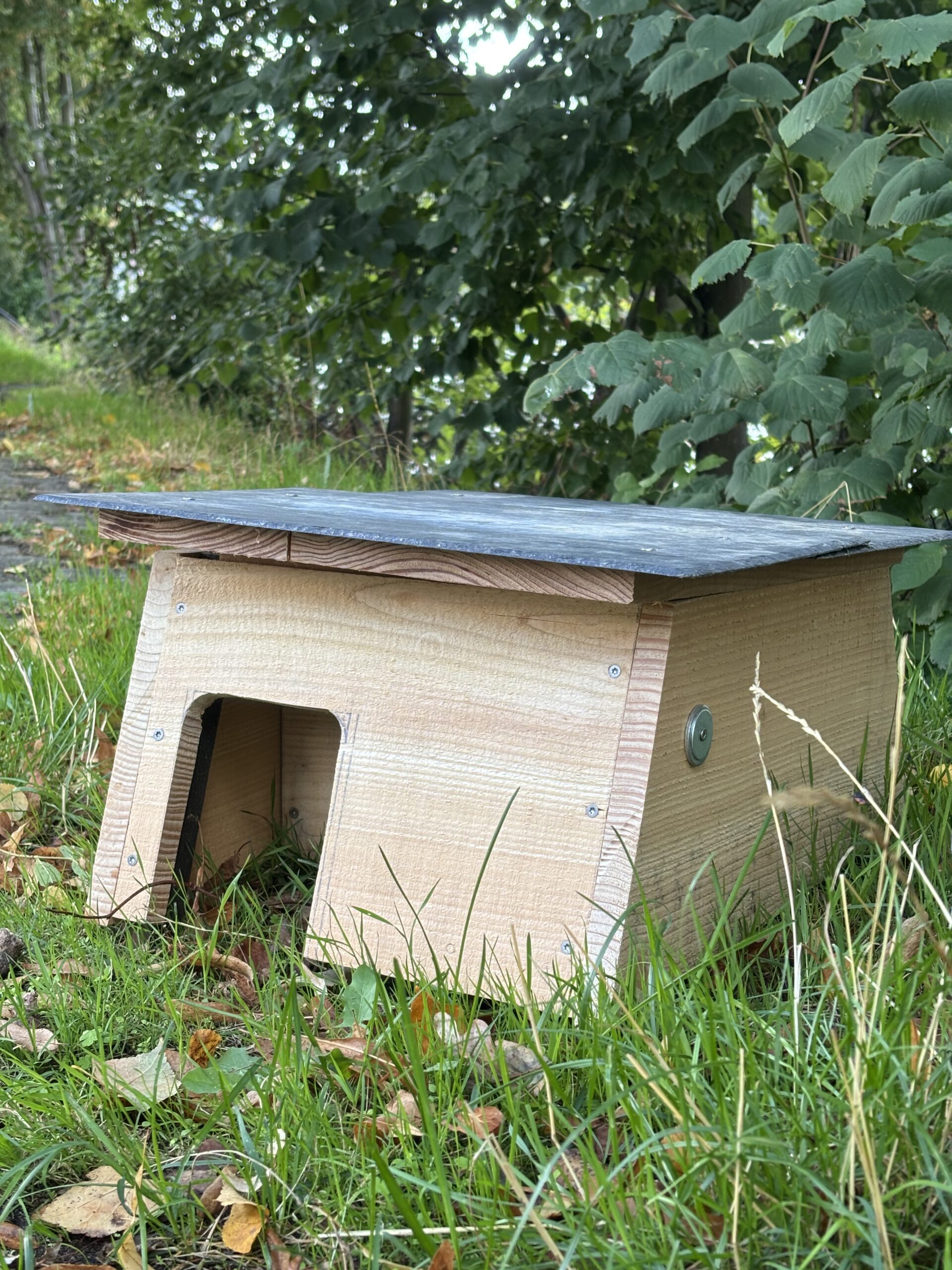 Abri à hérisson – Image 4