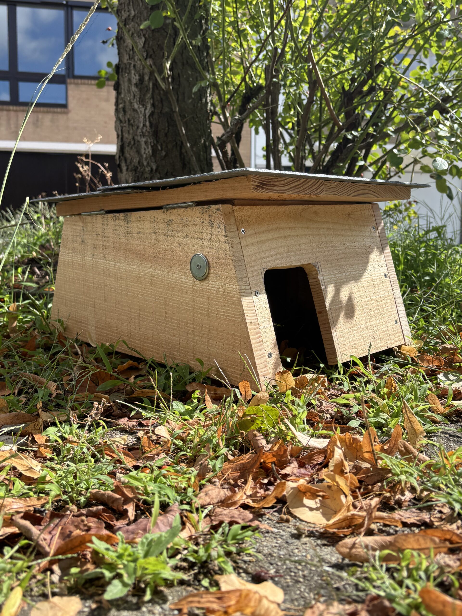 Abri à hérisson – Image 7