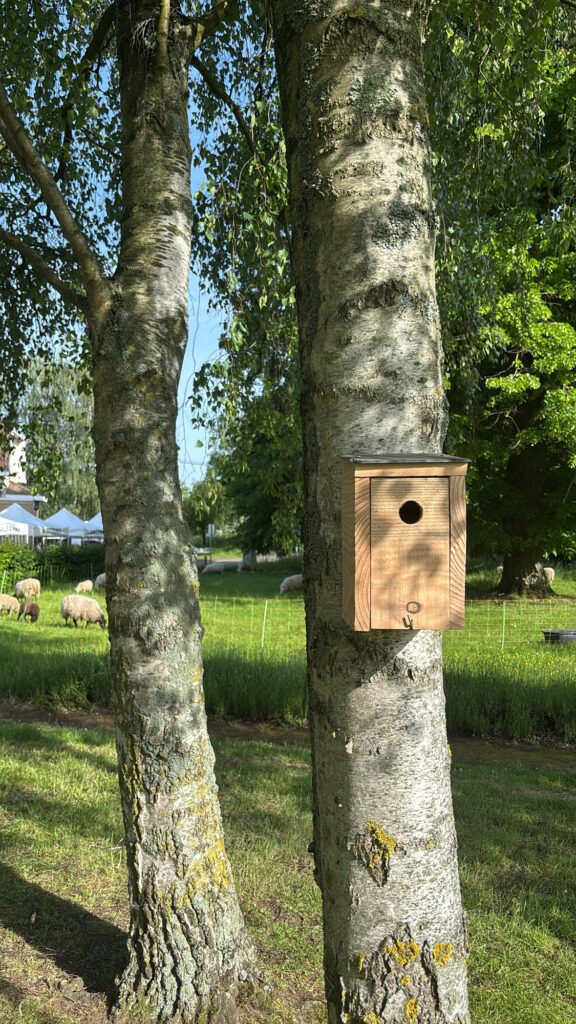 Nichoir standard à mésanges charbonnières - 32 mm